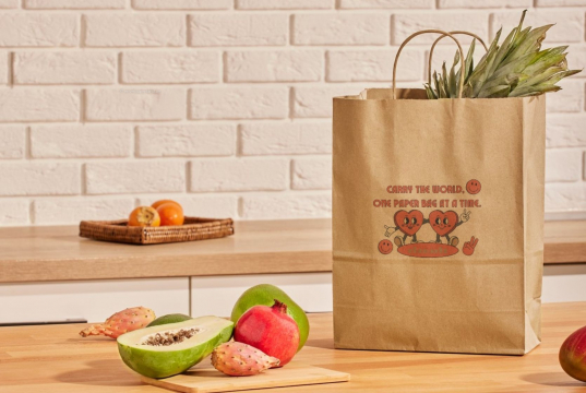 Papieren draagtassen gedraaide handgreep | Enveloppenland.be