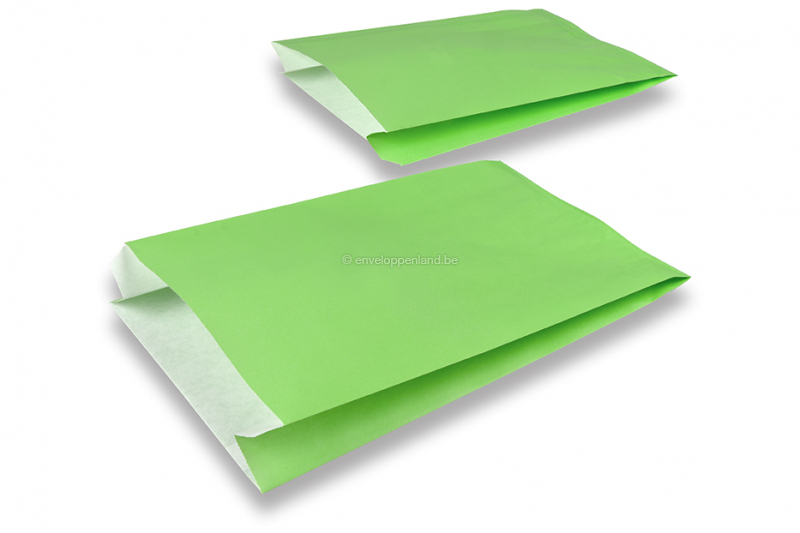 Cadeauzakjes gekleurd papier - groen, 200 x 320 x 70 mm